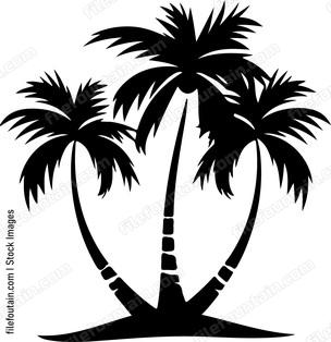 Palm Tree Split