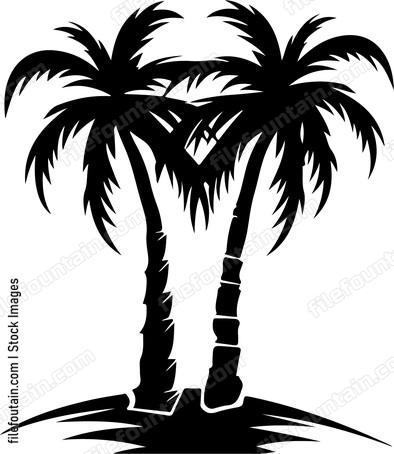 Palm Trees