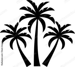 Palm Trees