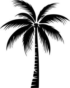 Palms