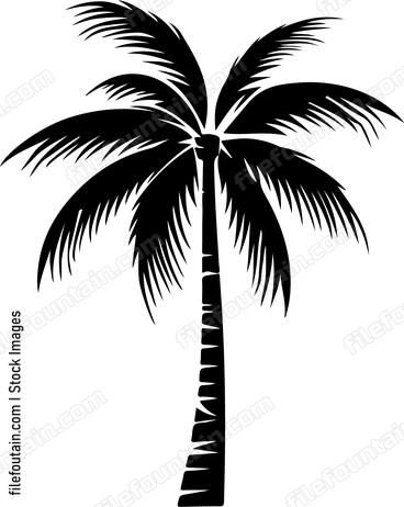 Palms