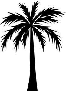 Palms