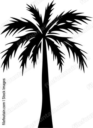 Palms