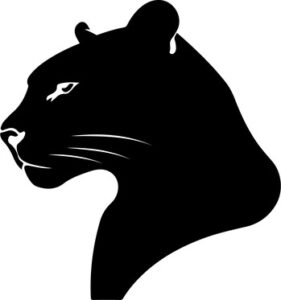 Panther