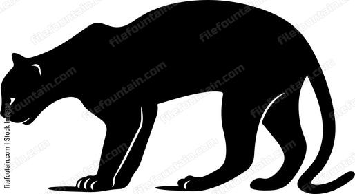 Panther Crawling