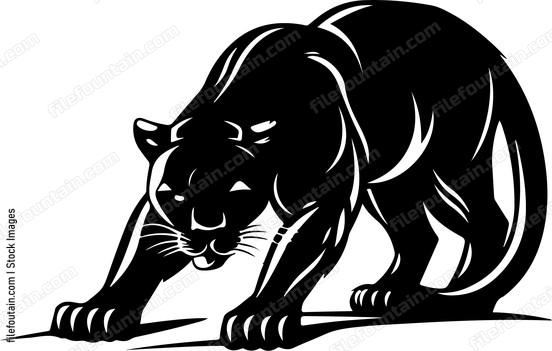 Panther Crawling