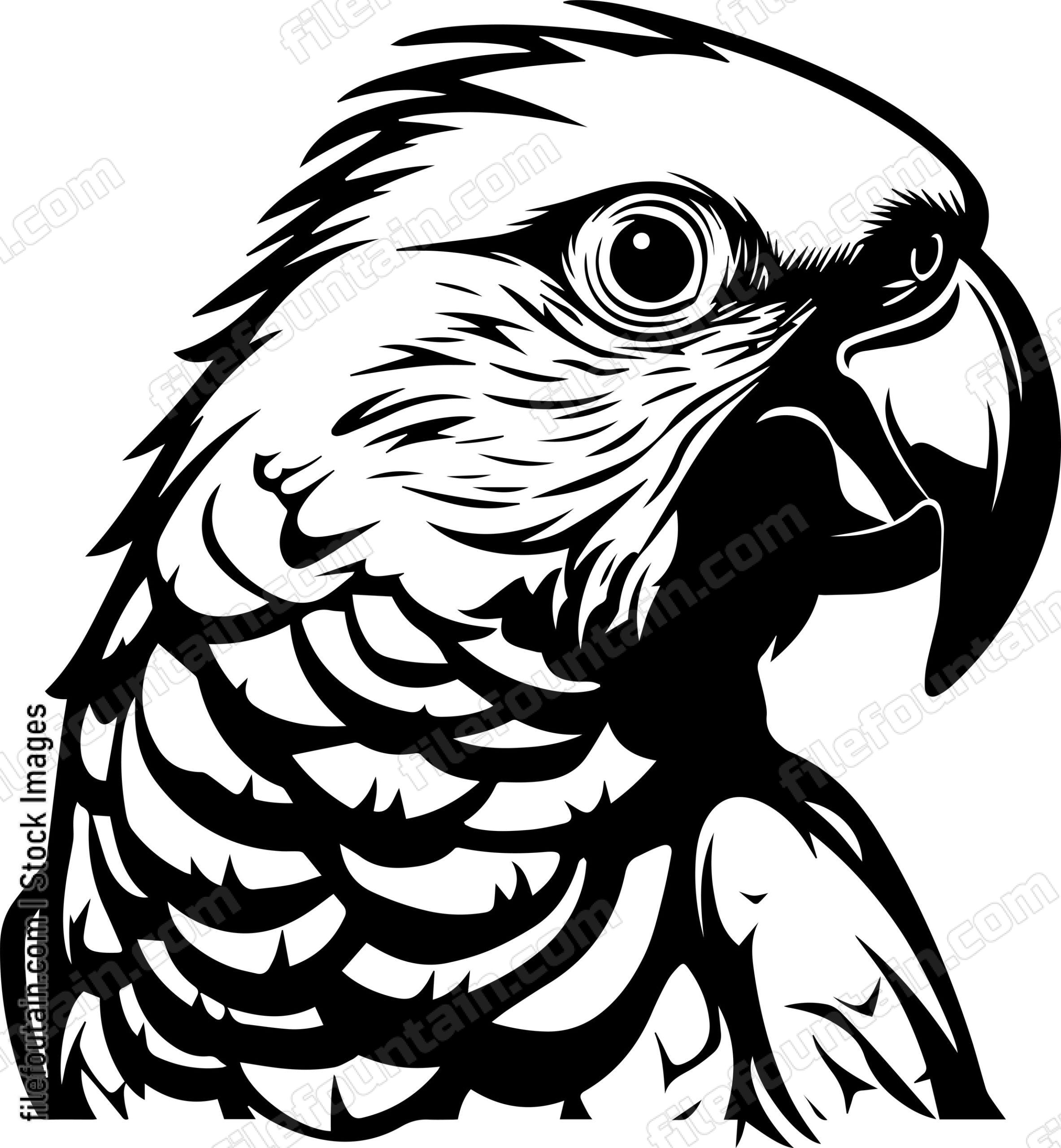 Parrot