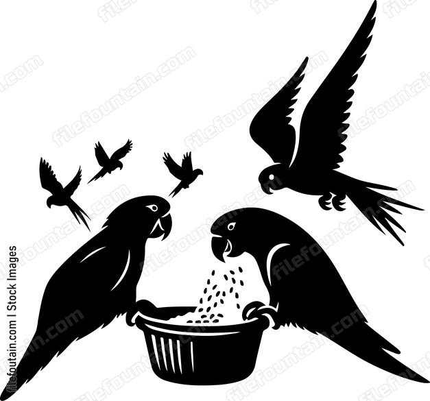 Parrot interacting with other birds in a communal feeding area