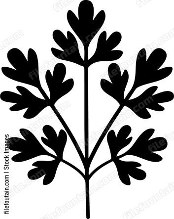 Parsley