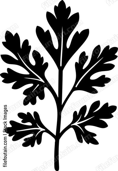 Parsley