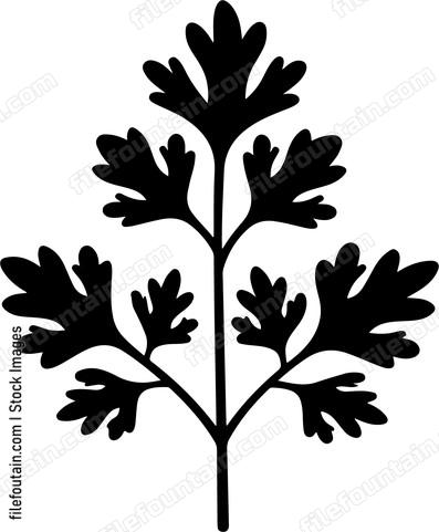Parsley