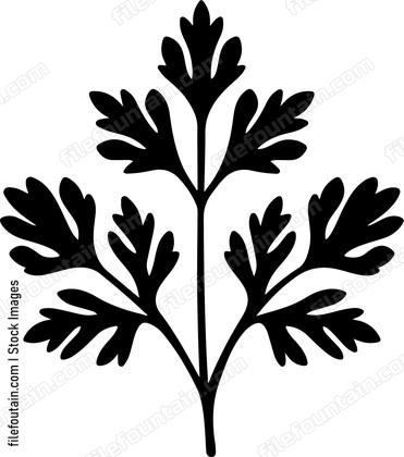 Parsley