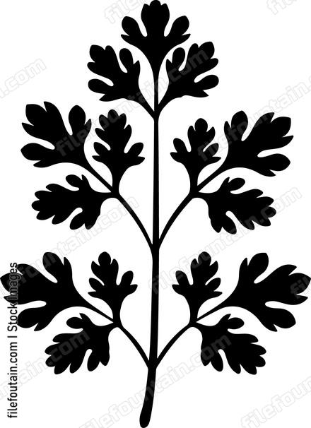 Parsley