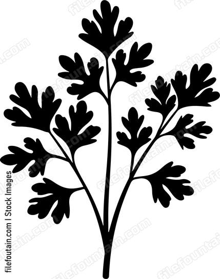 Parsley Bundle