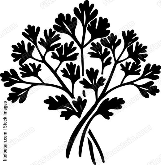 Parsley Bundle