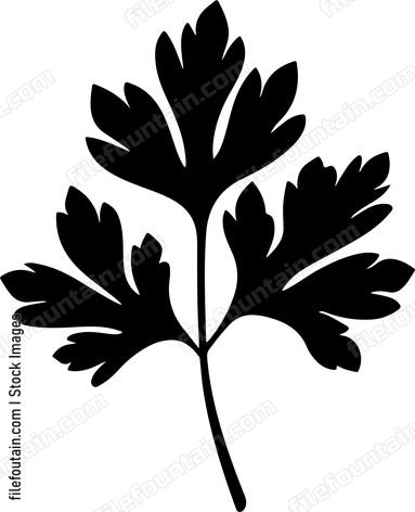 Parsley Leaf