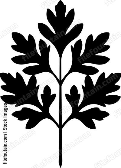Parsley Leaf