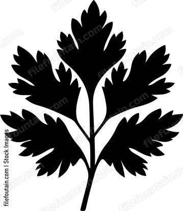 Parsley Leaf