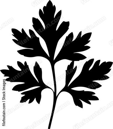 Parsley Leaf
