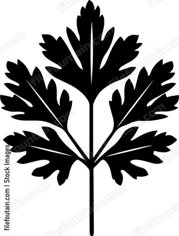 Parsley Leaf