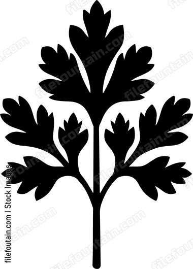 Parsley Leaf