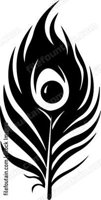 Peacock Feather