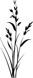 plant with long thin leaves