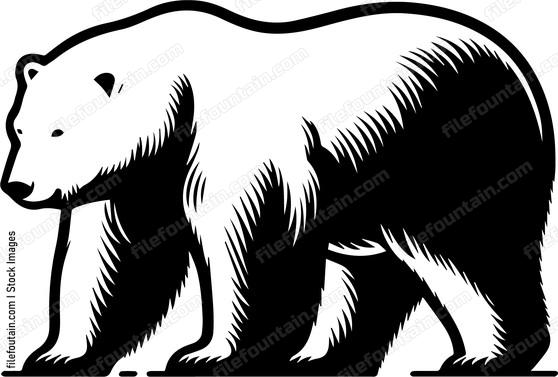 Polar Bear