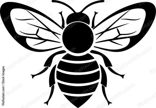 Queen Bee