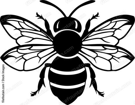 Queen Bee