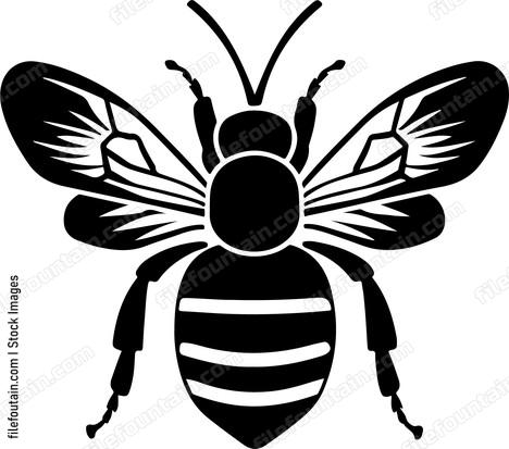 Queen Bee