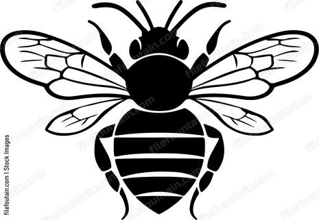Queen Bee