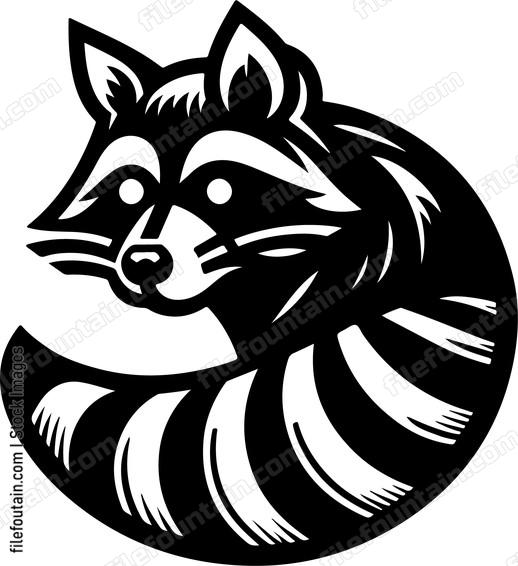 Raccoon