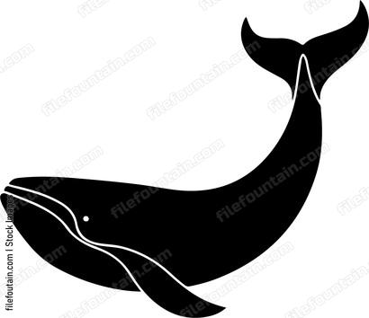 Right Whale
