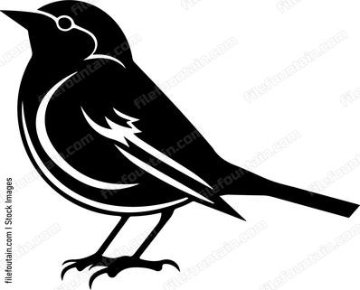 Robin Bird