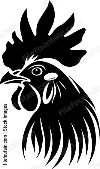 Rooster Front View