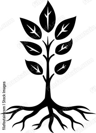 Roots