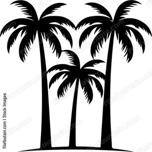 Row Of Palms