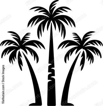 Row Of Palms