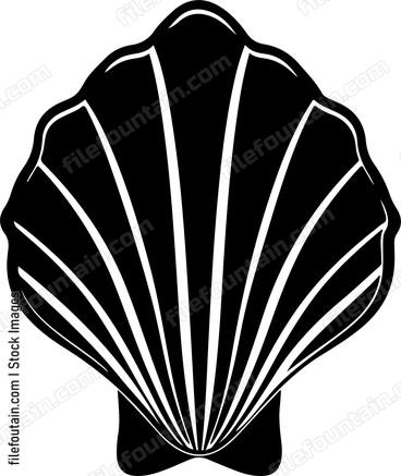 seashell