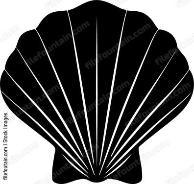 seashell