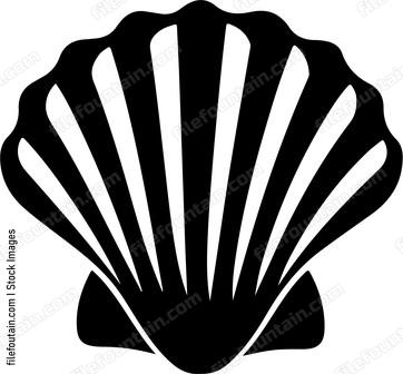 seashell