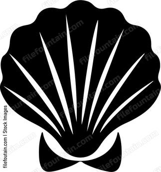 seashell