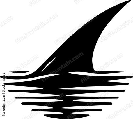 Shark dorsal fin cutting through calm waters