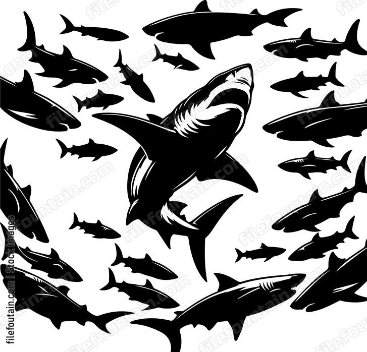 Shark in the midst of a feeding frenzy with other predators