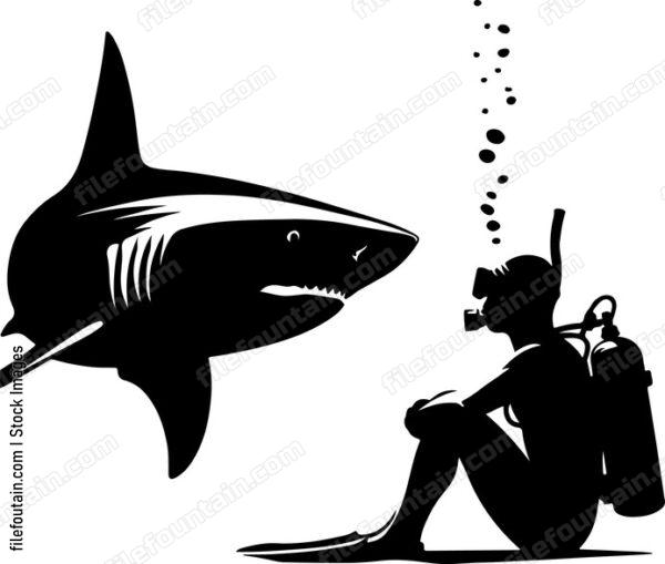 Shark interacting curiously with a diver