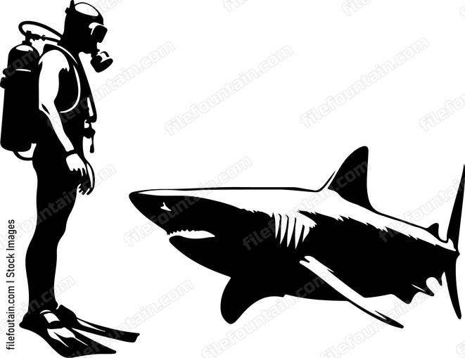 Shark interacting curiously with a diver