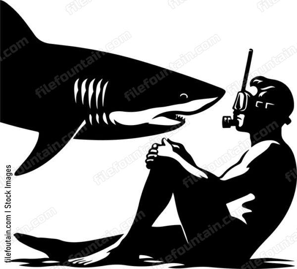 Shark interacting curiously with a diver