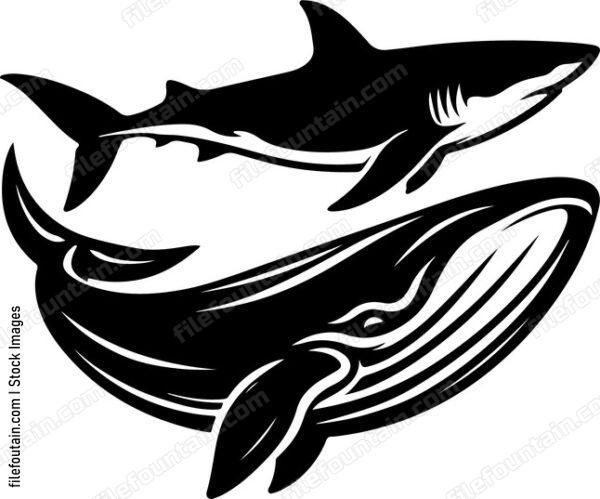 Shark swimming alongside a majestic whale