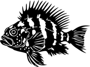 silhouette of fish